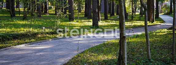 Зеленогорский парк культуры и отдыха
